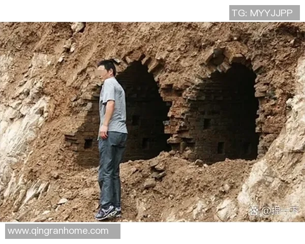 伤病名单背后的隐秘真相十大冷知识揭秘让你意想不到的发现